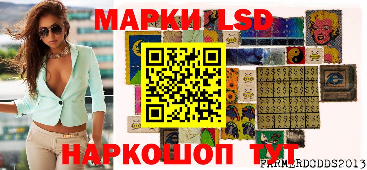 Губкин  Марки NBOMe 1,8мг  Вход с VPN  Марки NBOMe 1,8мг 