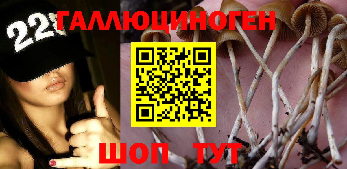 наркошоп  Вход с VPN  Губкин  Галлюциногенные грибы Cubensis 
