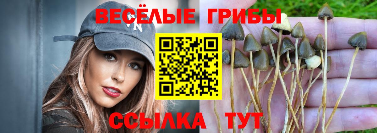 Галлюциногенные грибы GOLDEN TEACHER Губкин