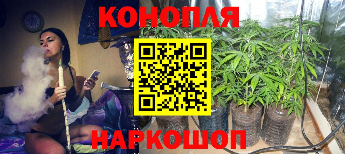 Каннабис MAZAR  Конопля планчик  Вход с VPN  Губкин  Бошки Шишки марихуана 